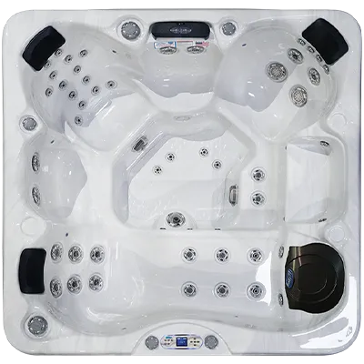 Avalon EC-849L hot tubs for sale in Quakertown