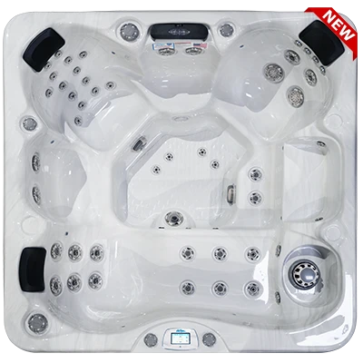 Avalon-X EC-849LX hot tubs for sale in Quakertown